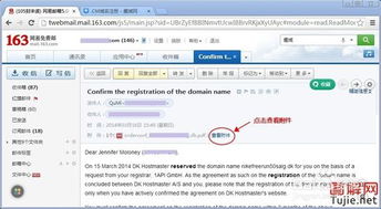 如何激活和解析新注册的丹麦.dk域名