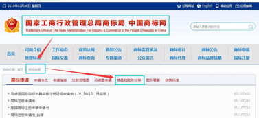 《商标局2018商标注册用商品和服务项目申报指南》解读 聚焦互联网域名注册服务